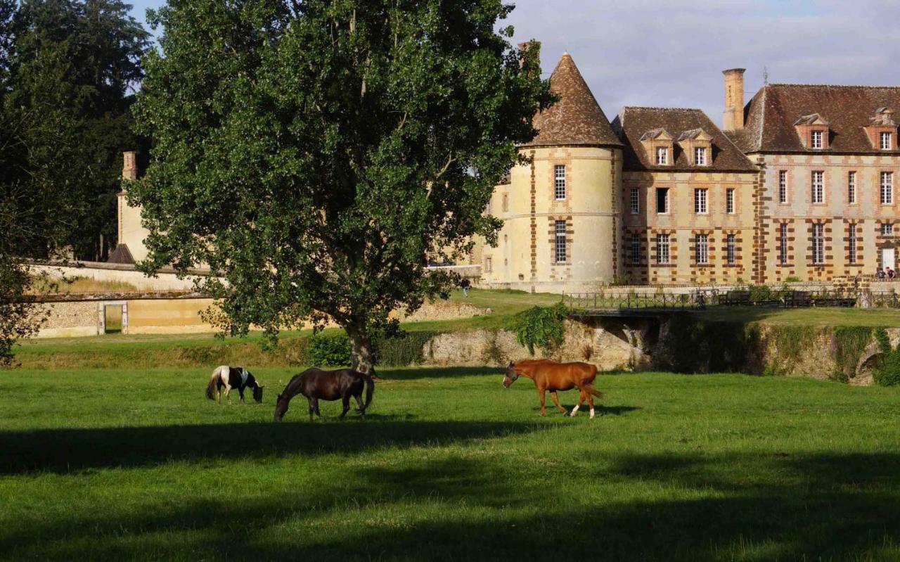 Chateau De La Riviere Pontgouin Exteriör bild